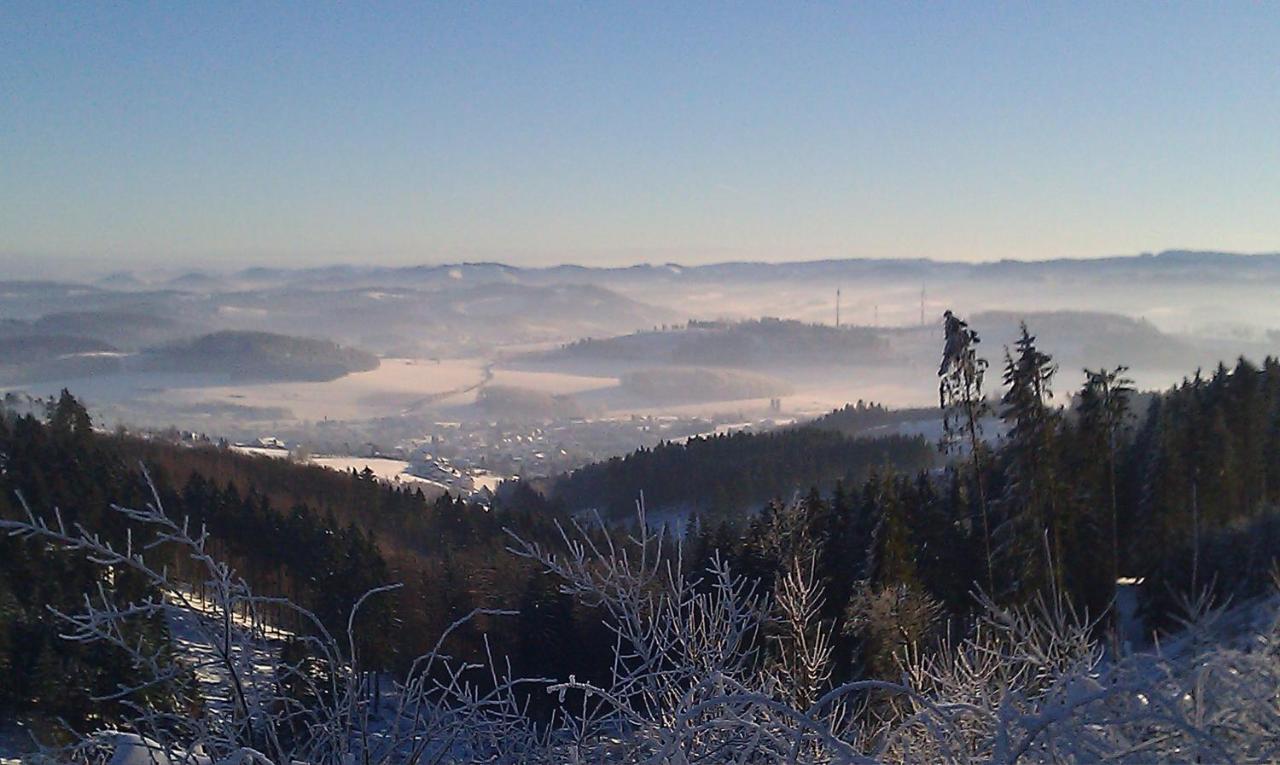 Schultenhof Balve 外观 照片