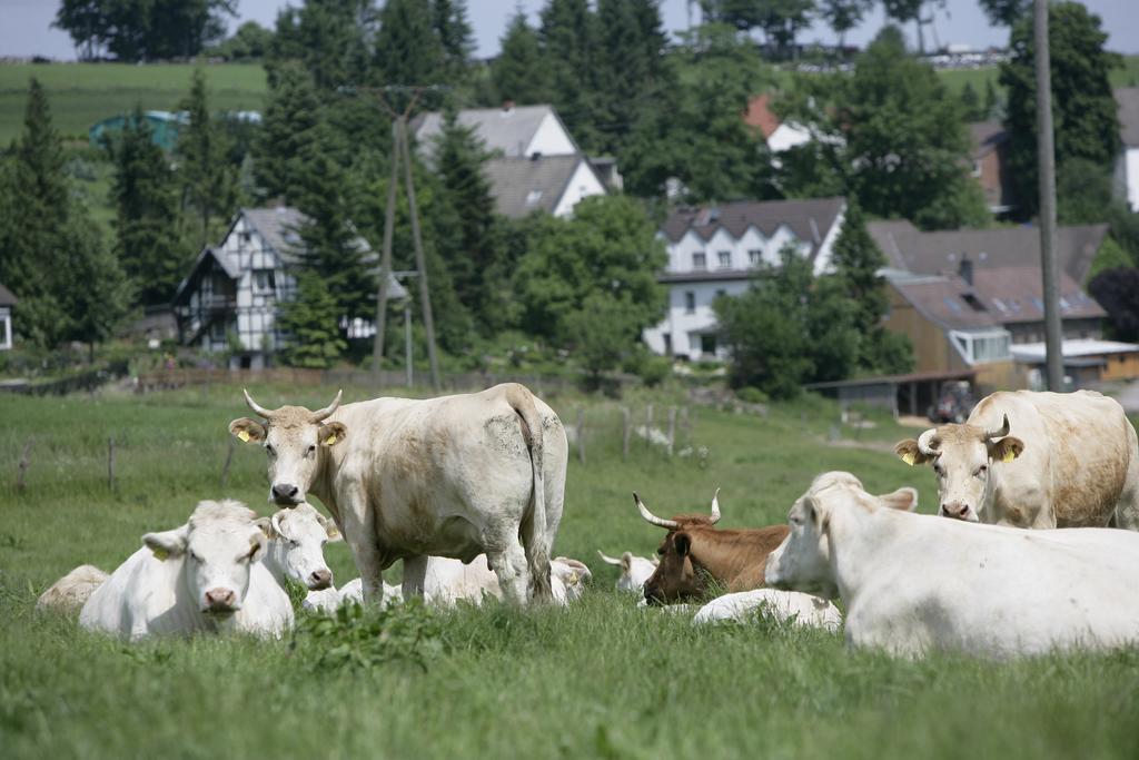 Schultenhof Balve 外观 照片